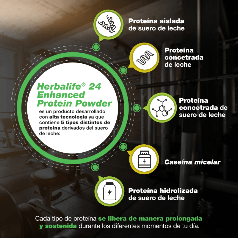 Herbalife24® Enhanced Protein Powder | 24g Protein Blend con 5 tipos de proteína derivados del suero de leche.